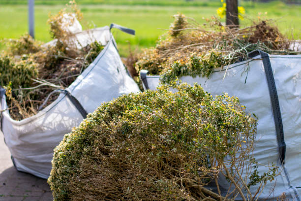 Best Yard Waste Removal  in Jesup, GA